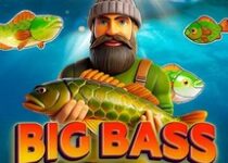 Play Big bass bonanza Online Slot