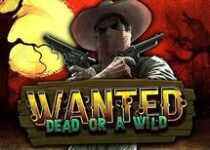 Play Wanted dead or a wild Online Slot